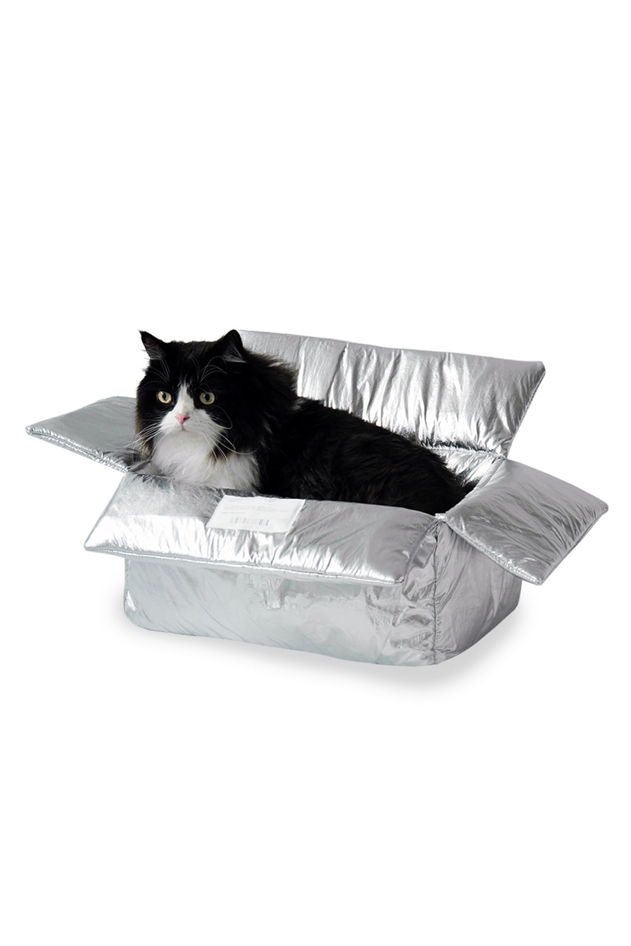 cat box (silver)